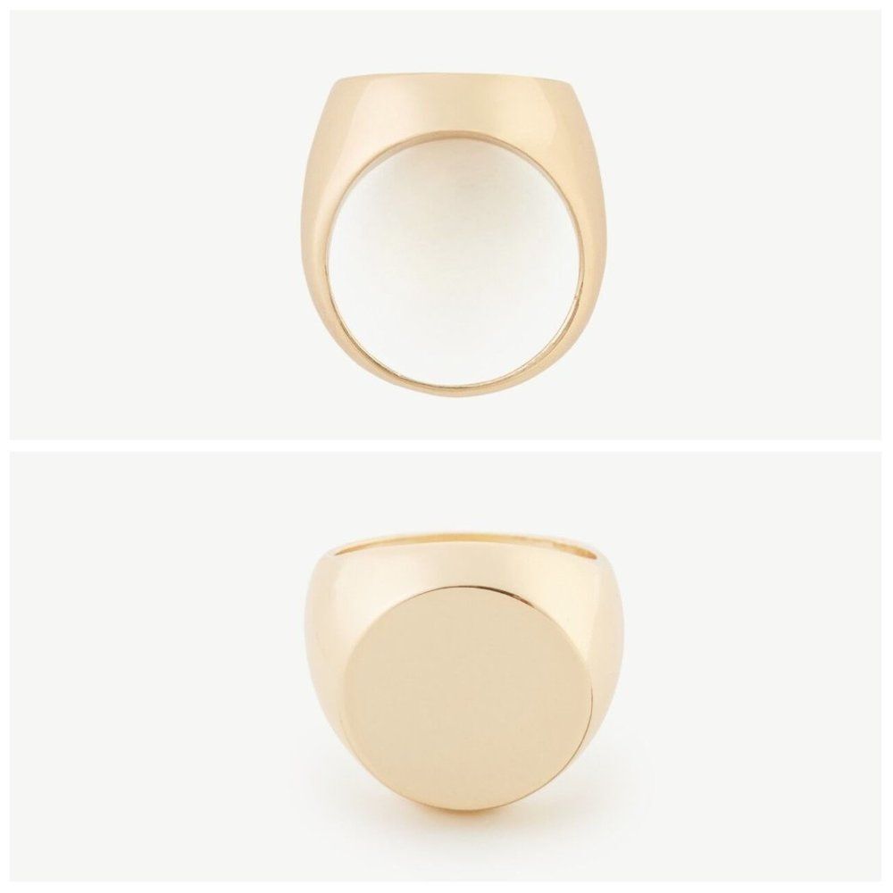 Ann Taylor  Modern Signet Ring  Size 6  NWT $39.5